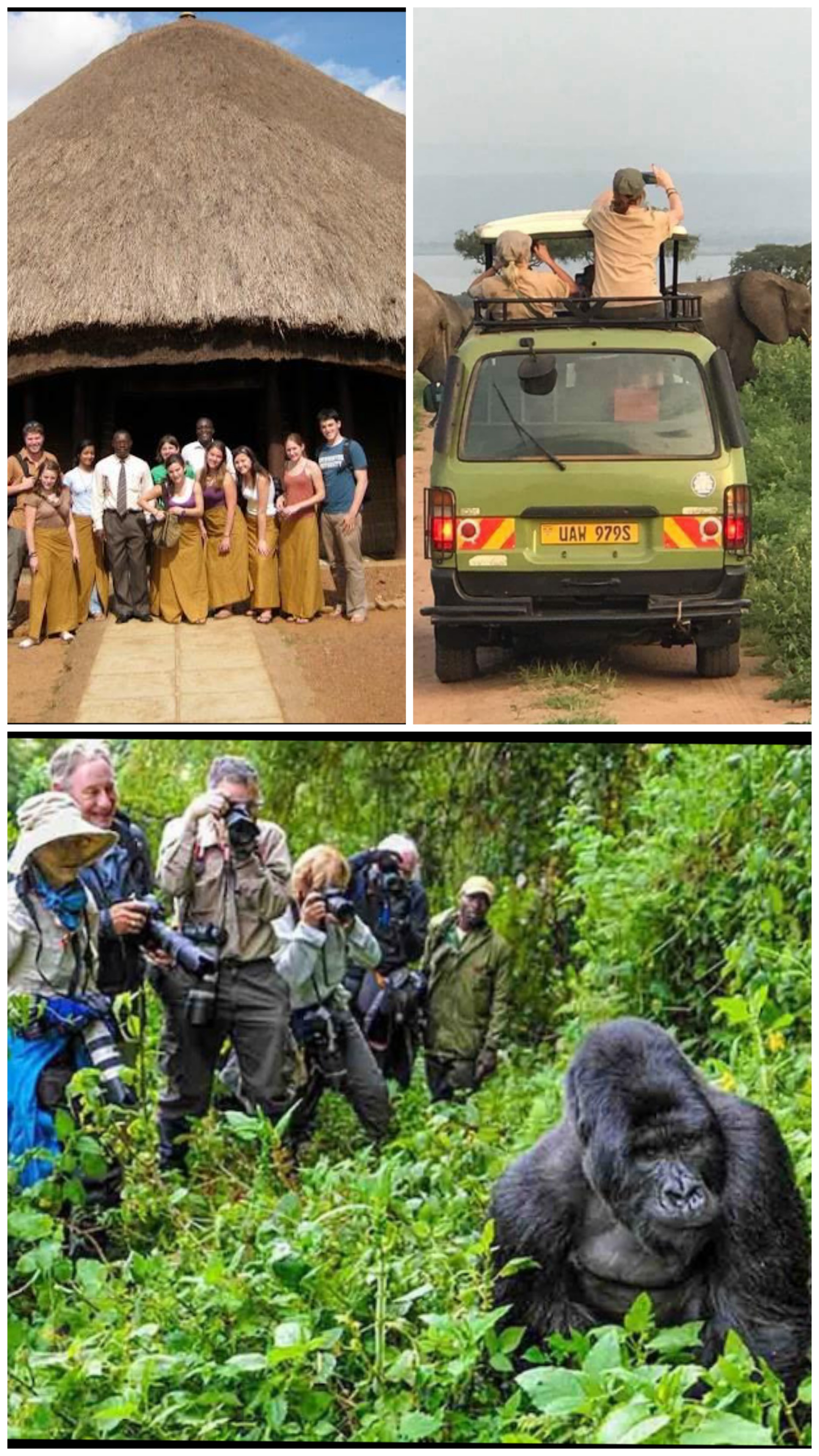 Discover Africa with Gorilla Trekking Booking – Your Trusted Safari Partner